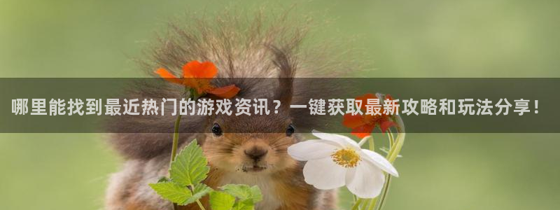 高德娱乐的意思：哪里能找到最近热门的游戏资讯？一键获取最新攻