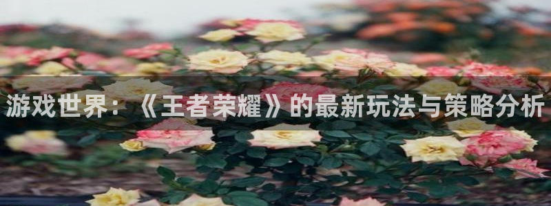 高德娱乐：游戏世界：《王者荣耀》的最新玩法与策略分析
