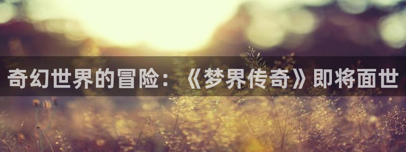 高德娱乐直属