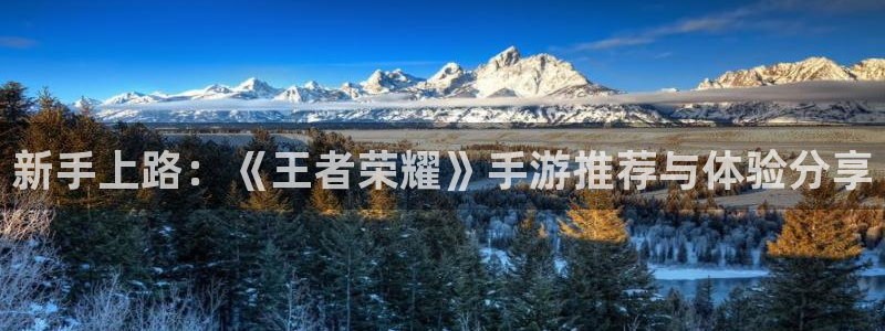 高德娱乐注册测速：新手上路：《王者荣耀》手游推荐与体验分享