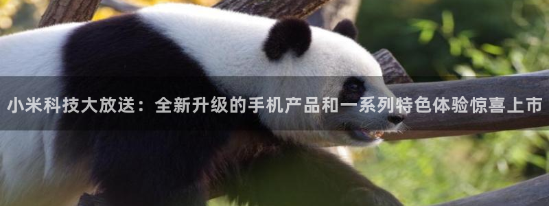 高德娱乐平台官网入口