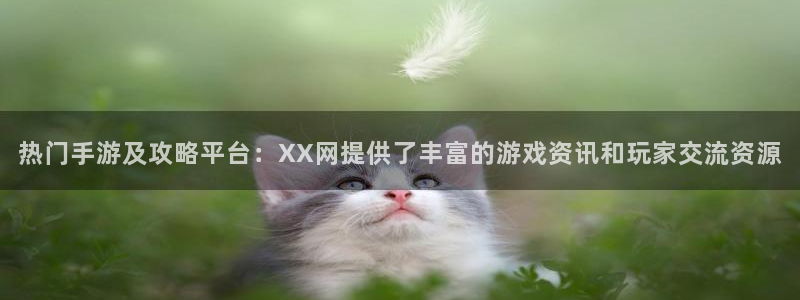 高德平台注册