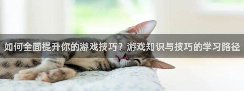 高德平台注册