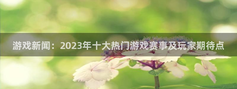 高德娱乐平台独27337：游戏新闻：2023年十大热门游戏赛
