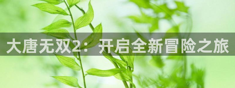 高德娱乐软件有哪些：大唐无双2：开启全新冒险之旅