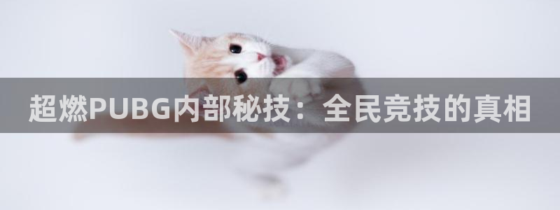 高德娱乐主管愧下判官333 oo：超燃PUBG内部秘技：全民