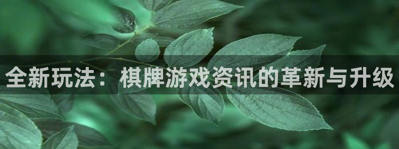 高德娱乐如何注册：全新玩法：棋牌游戏资讯的革新与升级