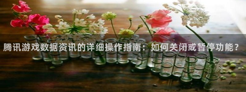 高德娱乐网站：腾讯游戏数据资讯的详细操作指南：如何关闭或暂停