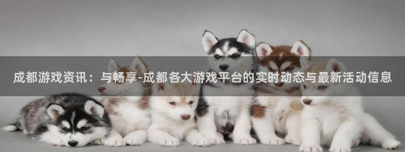 高德娱乐官方平台：成都游戏资讯：与畅享-成都各大游戏平台的实