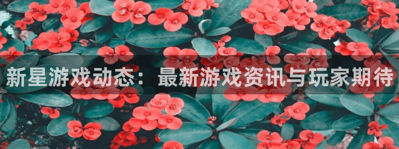 高德娱乐平台登录线路