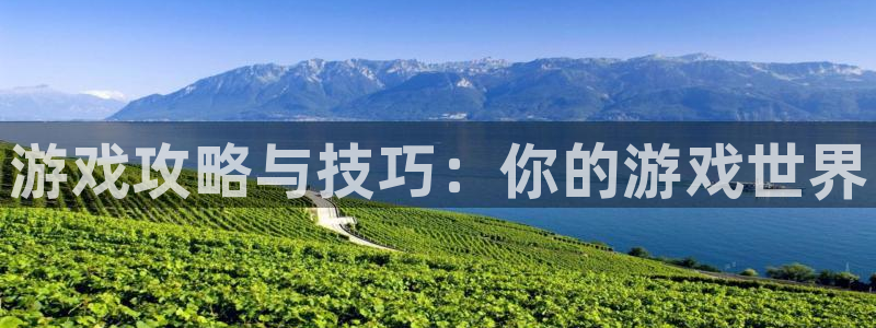 高德娱乐注册地址：游戏攻略与技巧：你的游戏世界