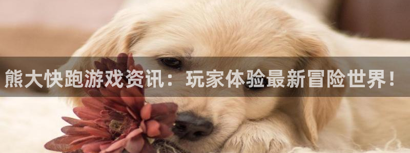 高德娱乐登陆：熊大快跑游戏资讯：玩家体验最新冒险世界！