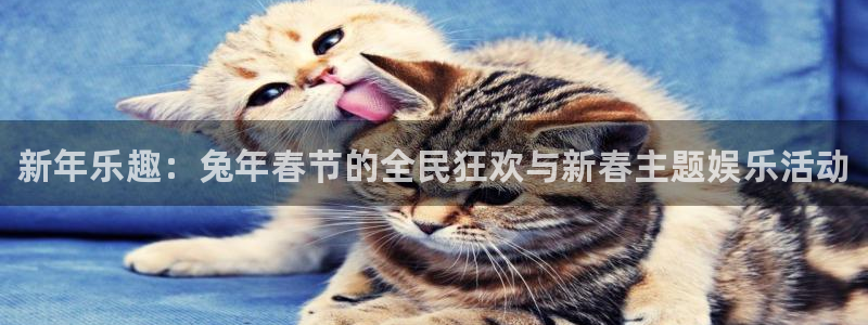 高德娱乐平台官网入口：新年乐趣：兔年春节的全民狂欢与新春主题